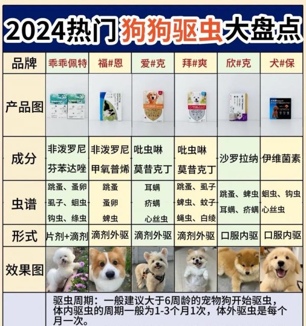 狗体内常见寄生虫的种类及防治方法（了解狗体内寄生虫的种类和防治方法，保护宠物健康）