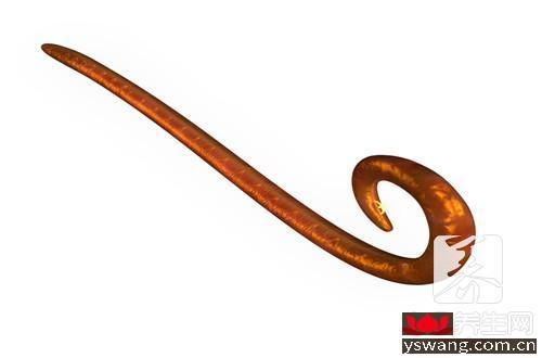 仓鼠体内会有寄生虫吗