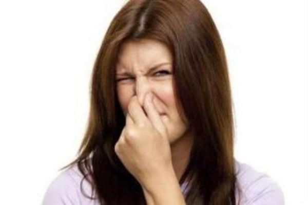 神奇的宠物益生菌,有了它狗狗不会在拉稀