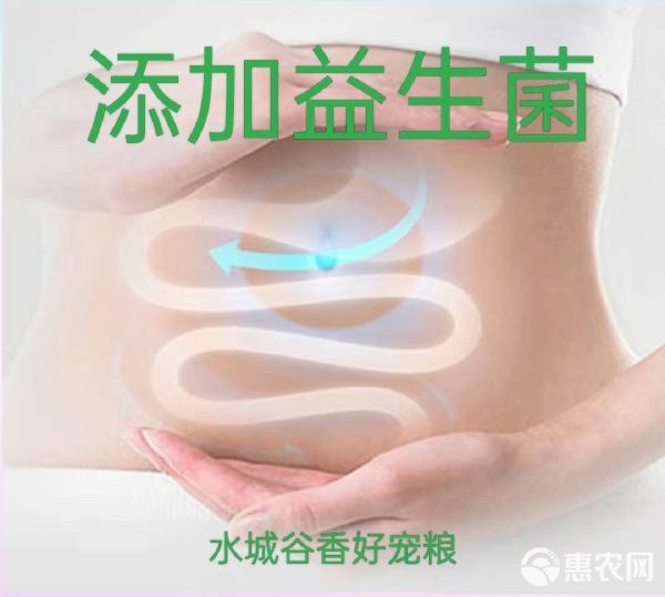 成猫幼猫添加生骨肉益生菌三文鱼油厂家直销诚招全国代理商