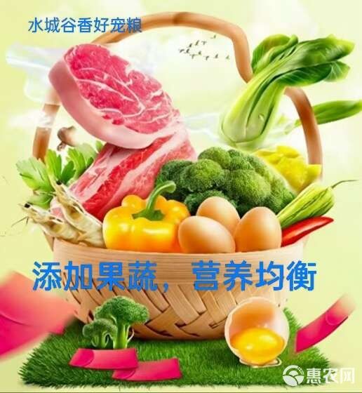 成猫幼猫添加生骨肉益生菌三文鱼油厂家直销诚招全国代理商