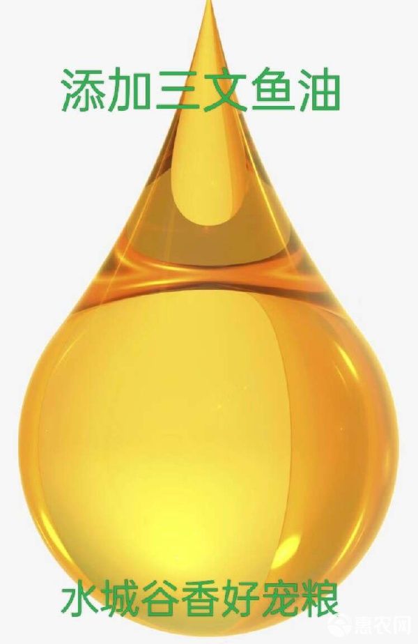 成猫幼猫添加生骨肉益生菌三文鱼油厂家直销诚招全国代理商