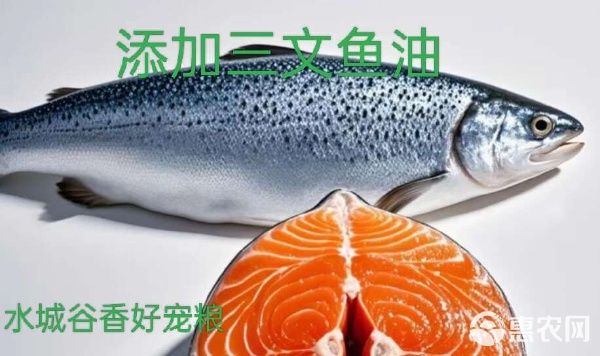 成猫幼猫添加生骨肉益生菌三文鱼油厂家直销诚招全国代理商