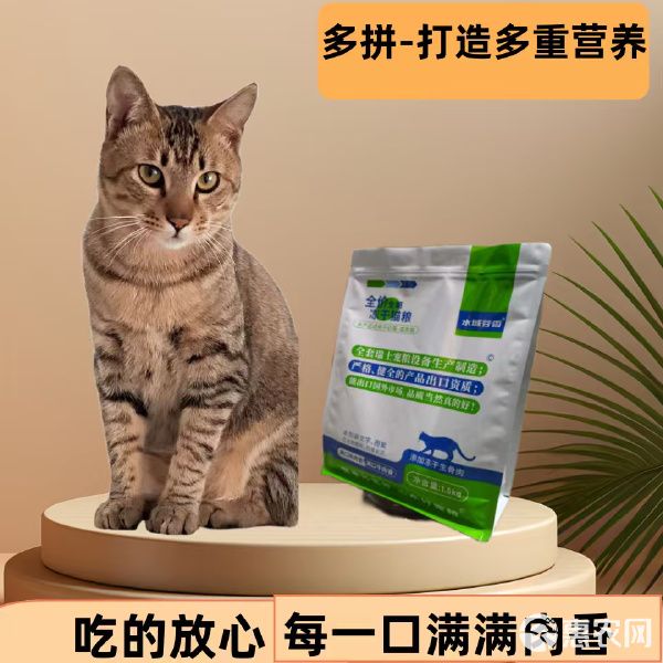 成猫幼猫添加生骨肉益生菌三文鱼油厂家直销诚招全国代理商