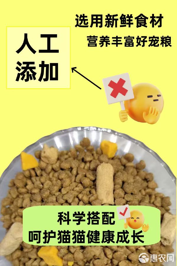 成猫幼猫添加生骨肉益生菌三文鱼油厂家直销诚招全国代理商