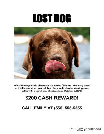 宠物丢失，找回有招！
