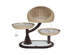 包邮山东正品阿胶块现打阿胶粉阿胶速溶粉冲水喝熬阿胶糕固元膏