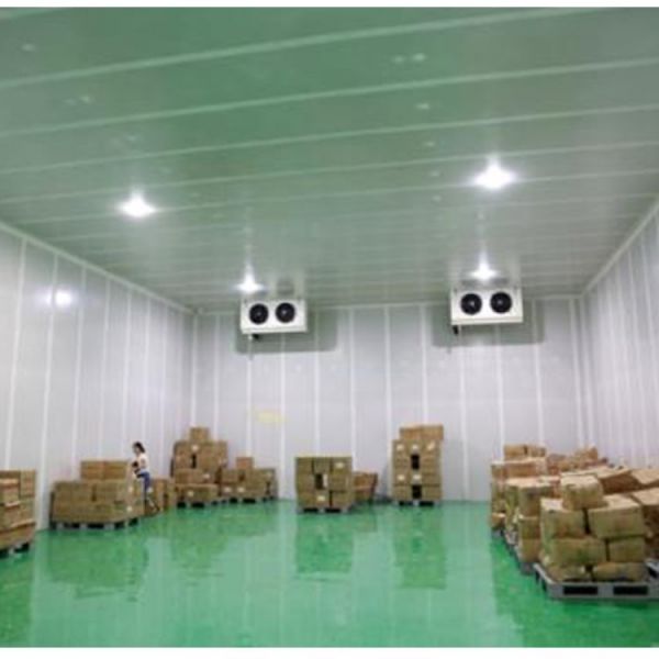 济南鱼虾冷库维修公司-冷库维修-新融制冷