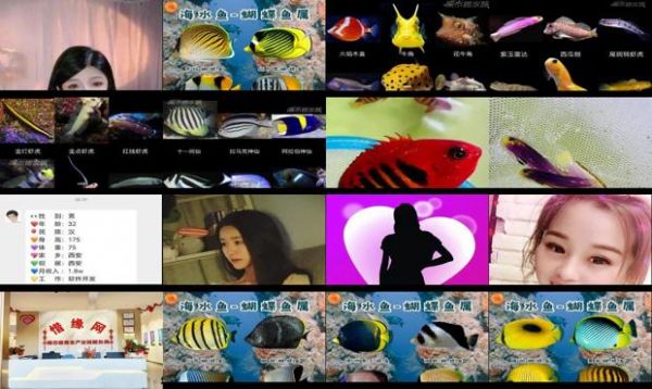 海水鱼都有什么鱼