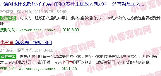 小丑鱼入缸多久算养定了