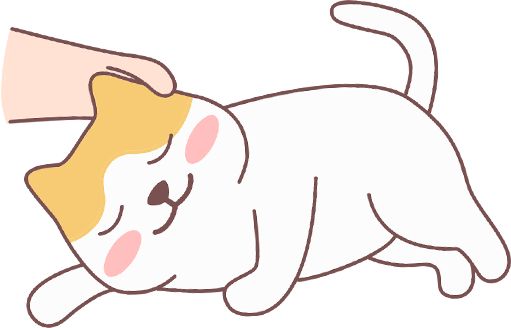 猫咪吃蛋黄的好吃