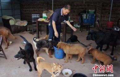 “养宠秘籍：响片训练+狗舍搭建，宠物生活更精彩！”