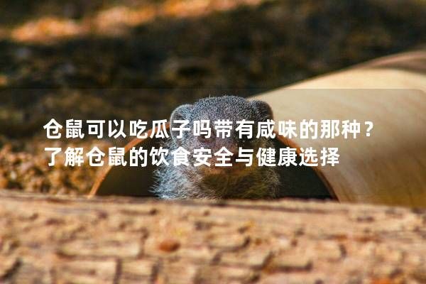 仓鼠可以吃瓜子吗带有咸味的那种？了解仓鼠的饮食安全与健康选择