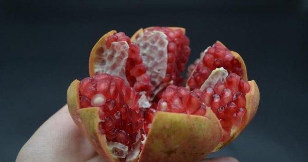 仓鼠可以吃石榴吗？——了解仓鼠的饮食习惯