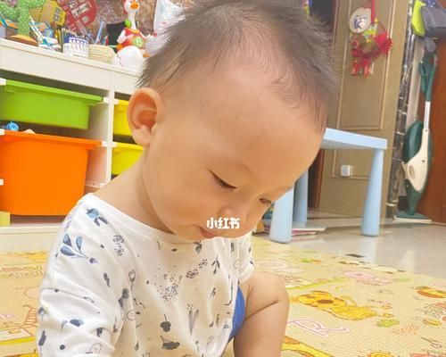 仓鼠可以吃石榴吗？——了解仓鼠的饮食习惯