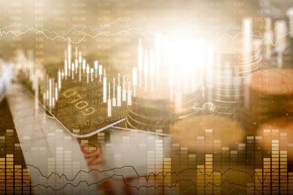 龙猫宠物店南京：打造一站式宠物养护品牌 图1