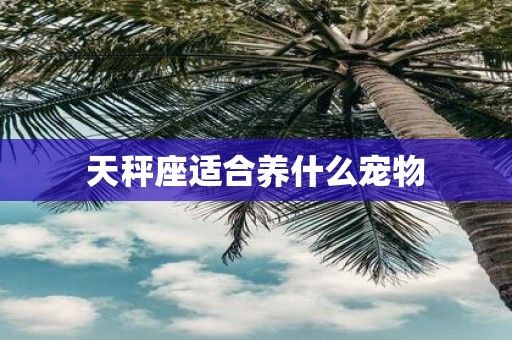 天秤座适合养什么宠物