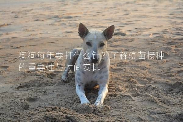 狗狗每年要打什么针?了解疫苗接种的重要性与时间安排