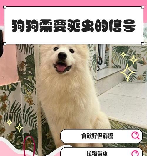 狗狗驱虫后多久能恢复正常？（了解狗狗驱虫后的恢复时间及相关注意事项）