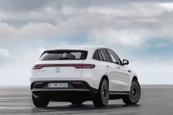 幼犬吃什么好点，幼犬吃什么好点的狗粮