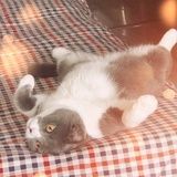 阿起名字好困难