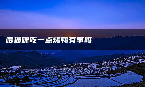 喂猫咪吃一点烤鸭有事吗