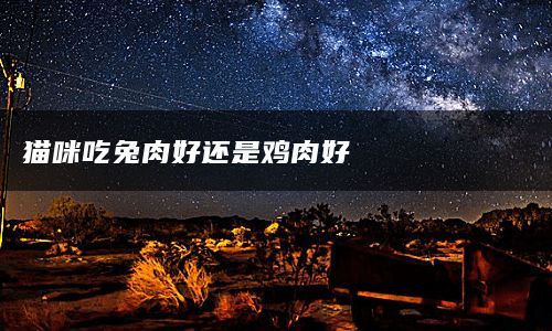 猫咪吃兔肉好还是鸡肉好