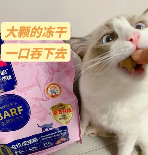 猫粮蛋白越高猫越胖吗为什么？高蛋白猫粮对猫咪的影响是什么？