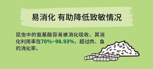 新品|一款解决宠物过敏问题的德国进口昆虫蛋白宠粮