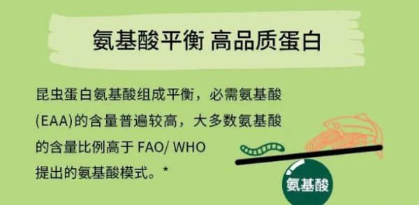 新品|一款解决宠物过敏问题的德国进口昆虫蛋白宠粮