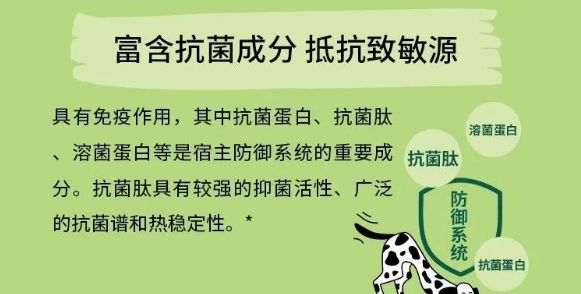 新品|一款解决宠物过敏问题的德国进口昆虫蛋白宠粮