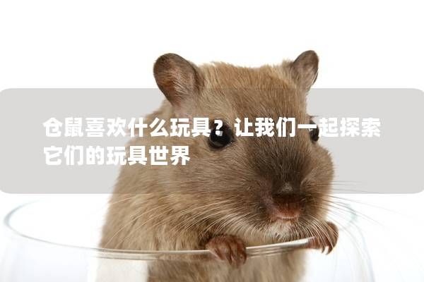 仓鼠喜欢什么玩具?让我们一起探索它们的玩具世界