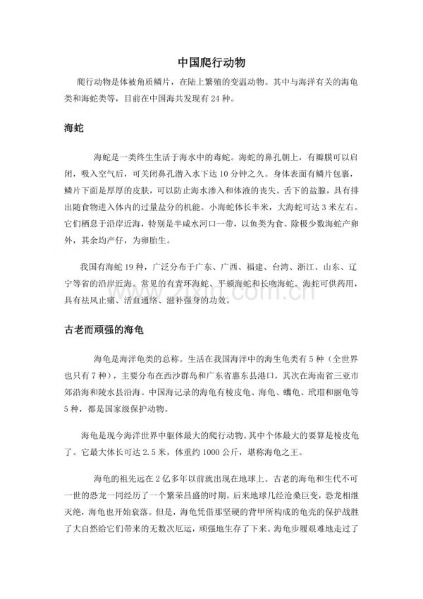 海洋爬行动物.doc_第1页