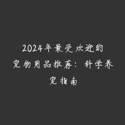 2024年最受欢迎的宠物用品推荐:科学养宠指南