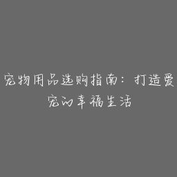 宠物用品选购指南：打造爱宠的幸福生活
