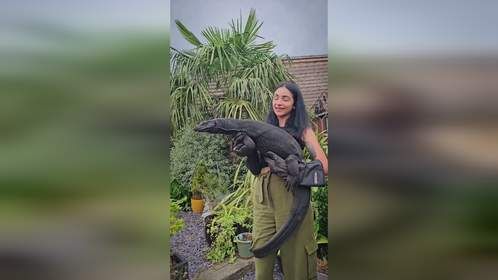 #爬宠 #异宠 #爬宠日常 #巨蜥 #黑龙泽巨蜥