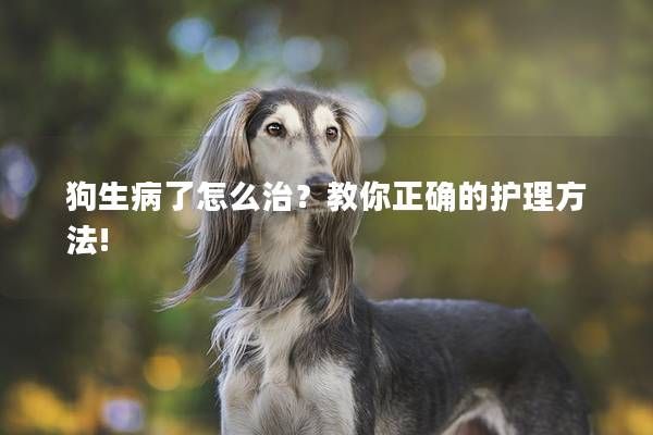 狗生病了怎么治?教你正确的护理方法!