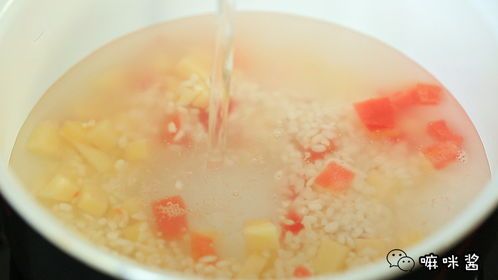 宠物饮食，科学喂养是关键。