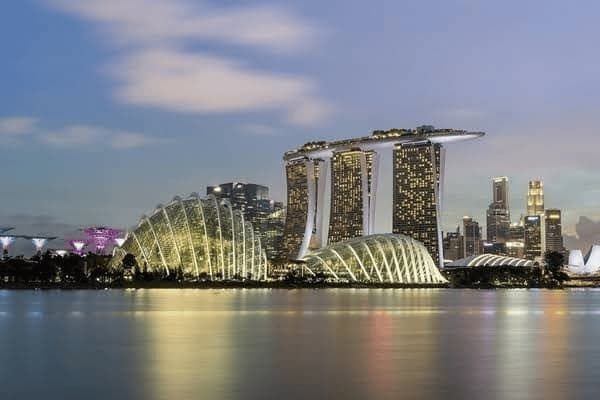 比熊犬每天吃什么好消化,比熊犬每天吃什么好消化食物