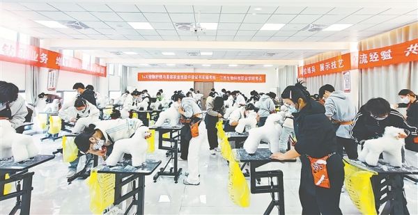 11月30日,江西生物科技职业学院学生正在参加“1+X”宠物护理与美容职业技能等级证书实操考核。(受访单位供图)
