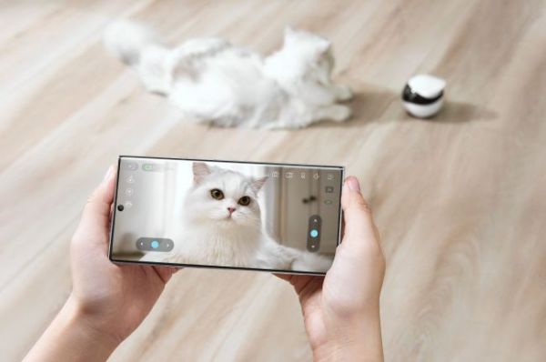 深圳公司做AI陪伴机器人 拿下红杉投资 从陪宠到全球百万用户