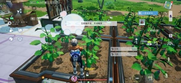 探讨下我们星球坐骑饲料配方,坐骑饲料配方都有啥呢