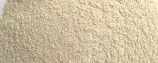 一天母猪产仔喂多少料