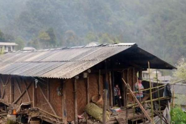 现在农村青蛙养殖的前景如何？青蛙养殖的成本和利润