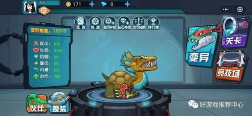 和龟如何互动的游戏有哪些,和乌龟玩的游戏