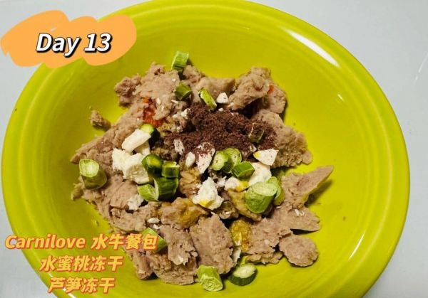 泰迪犬的健康饮食指南（营养均衡的饮食，让泰迪更健康）