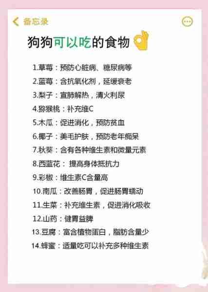 宠物饮食指南,哪些宠物不宜食用蔬菜干