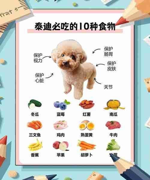 宠物饮食指南,哪些宠物不宜食用蔬菜干