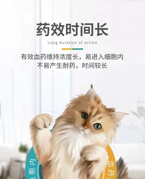 五个月猫咪适合的药品（宠物猫咪的健康护理，合适的药品选择）