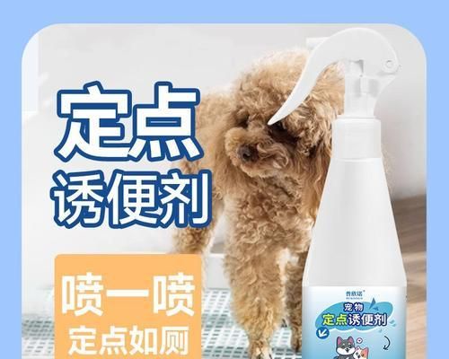 选择合适的宠物诱导剂，为宠物健康保驾护航（一起探索宠物诱导剂市场中最受欢迎的品牌及其特点）